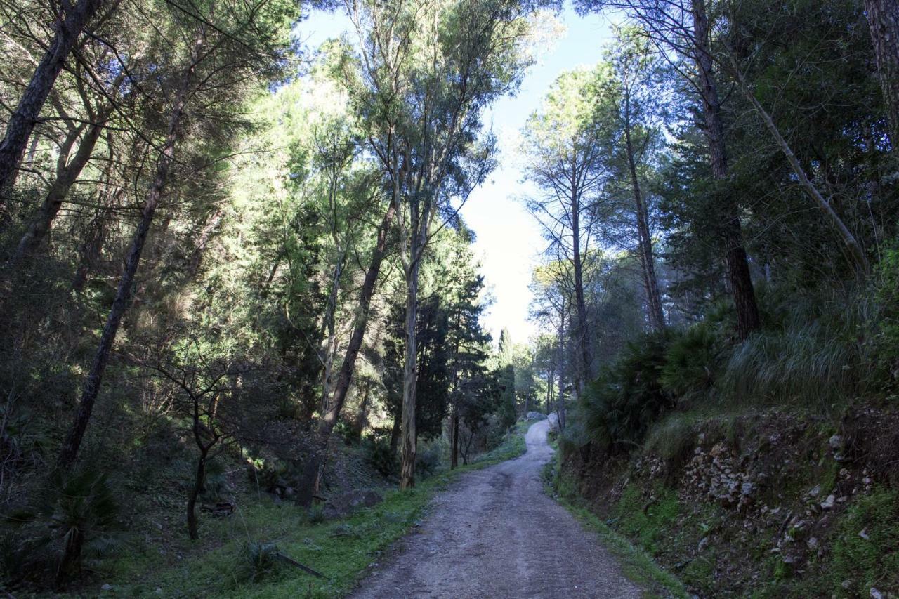 La Dimora Di Segesta B&B Calatafimi Eksteriør billede