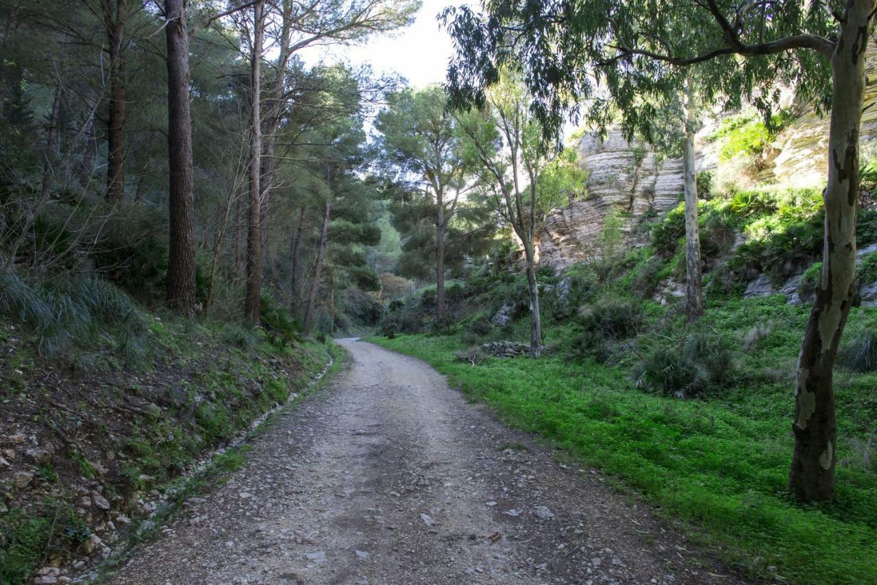 La Dimora Di Segesta B&B Calatafimi Eksteriør billede